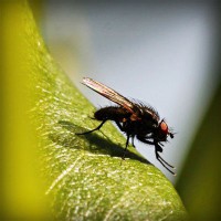 /album/tilerilfi/photolia-a04-jpg/