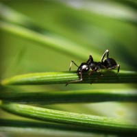 /album/tilerilfi/photolia-a05-jpg/