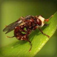 /album/tilerilfi/photolia-a06-jpg/