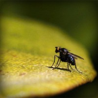/album/tilerilfi/photolia-a07-jpg/