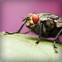 /album/tilerilfi/photolia-a08-jpg/